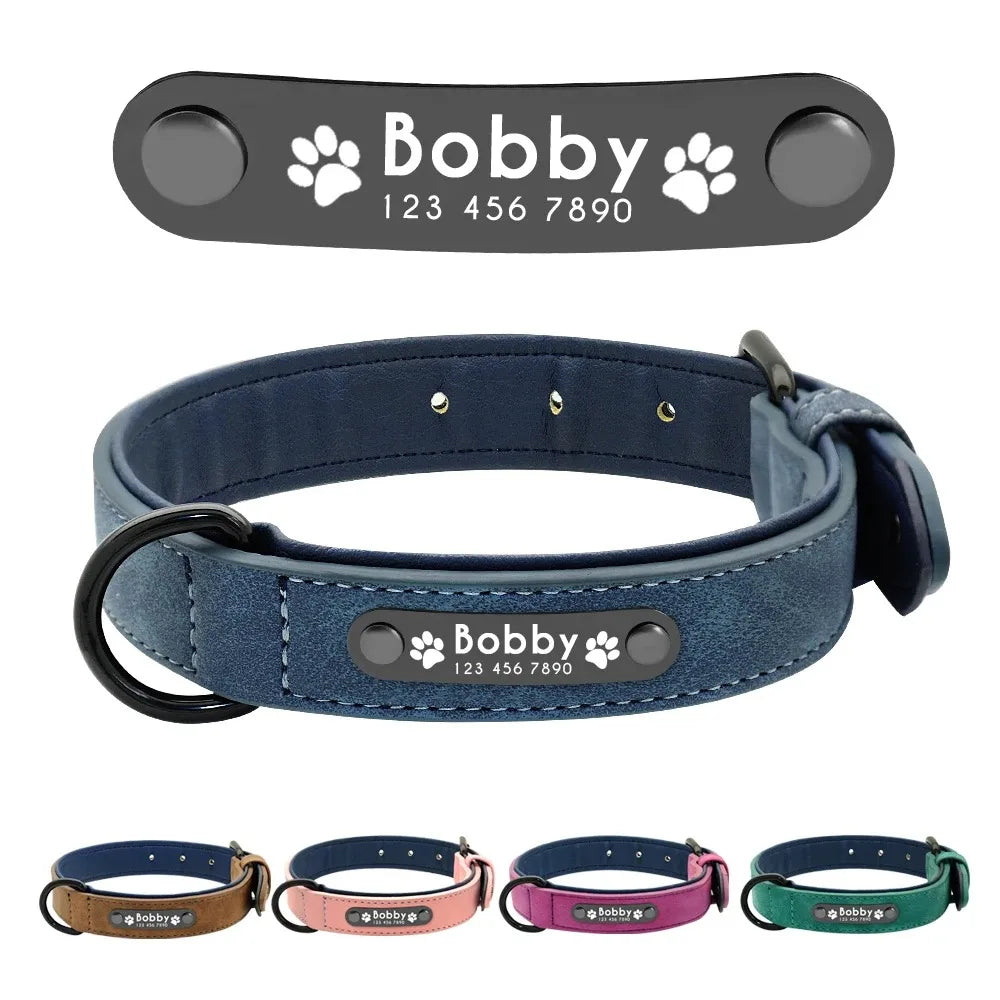 Collar Personalizado para Perros con Nombre y Teléfono 🐾