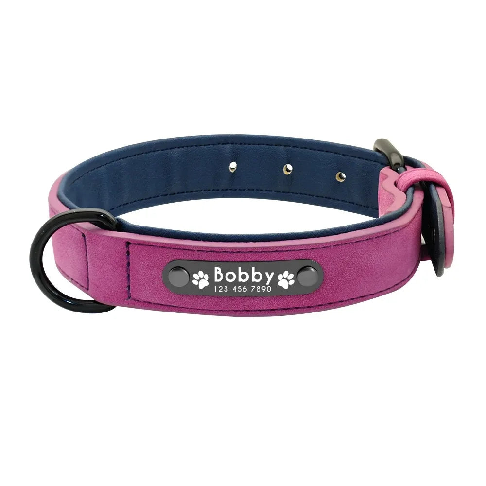 Collar Personalizado para Perros con Nombre y Teléfono 🐾