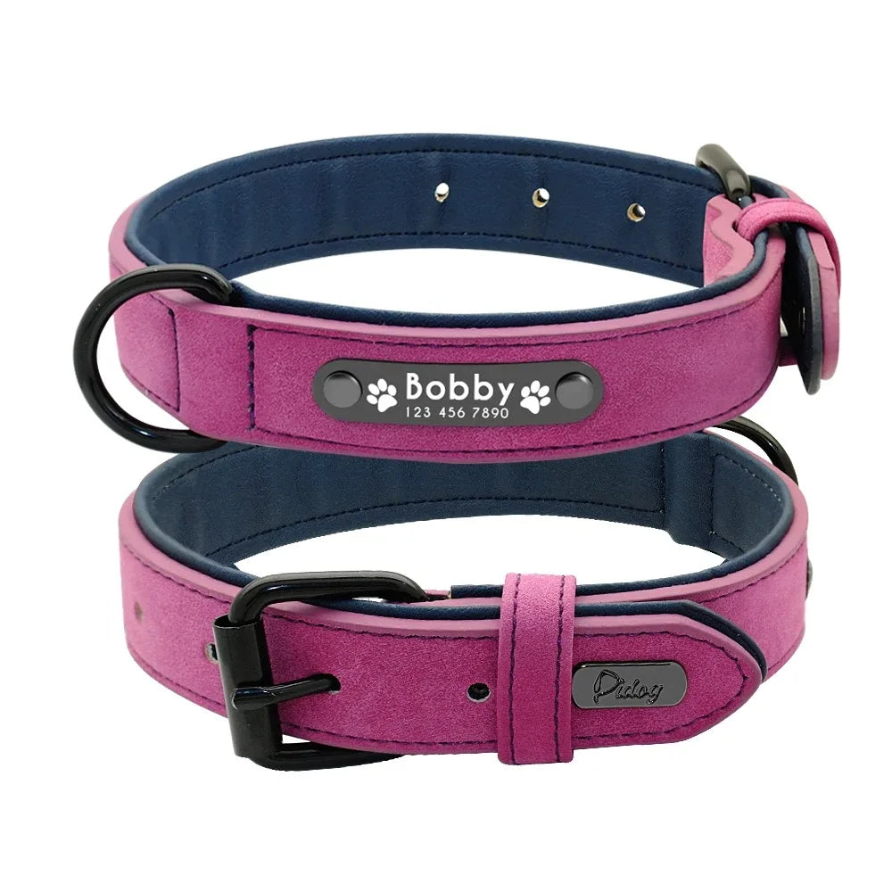 Collar Personalizado para Perros con Nombre y Teléfono 🐾