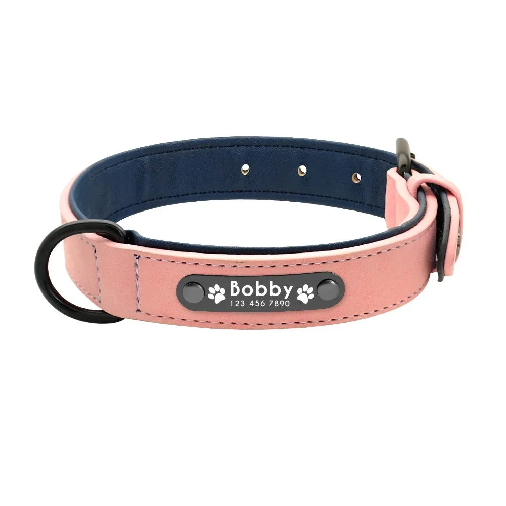 Collar Personalizado para Perros con Nombre y Teléfono 🐾
