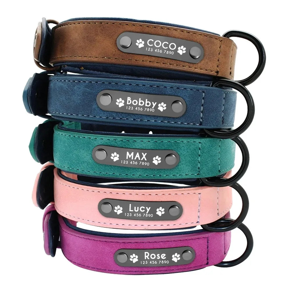 Collar Personalizado para Perros con Nombre y Teléfono 🐾