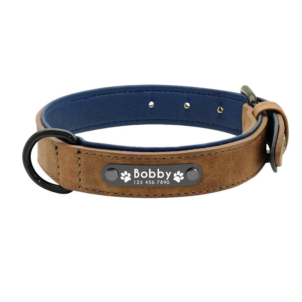 Collar Personalizado para Perros con Nombre y Teléfono 🐾