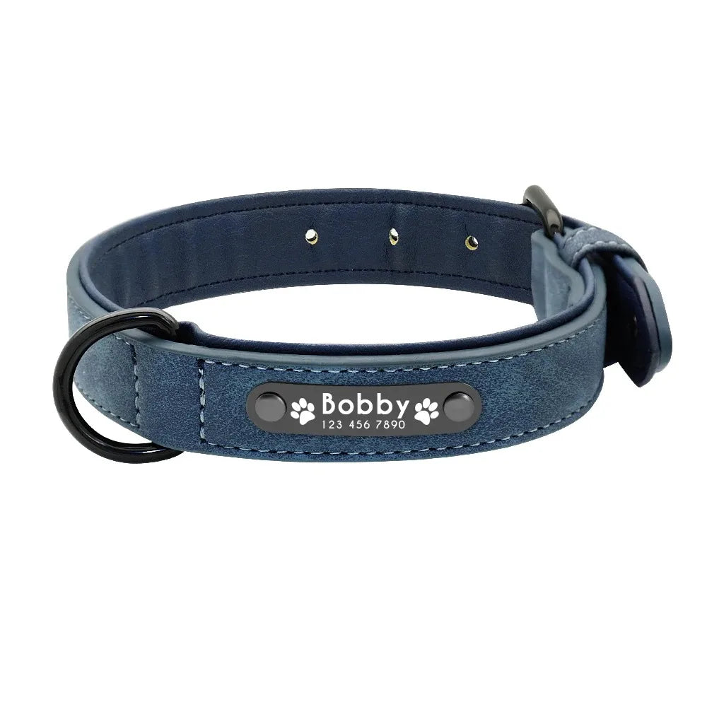 Collar Personalizado para Perros con Nombre y Teléfono 🐾